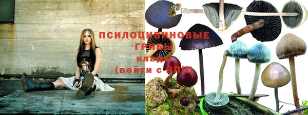 круглые Сосновый Бор