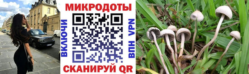 Галлюциногенные грибы мухоморы  Вытегра 