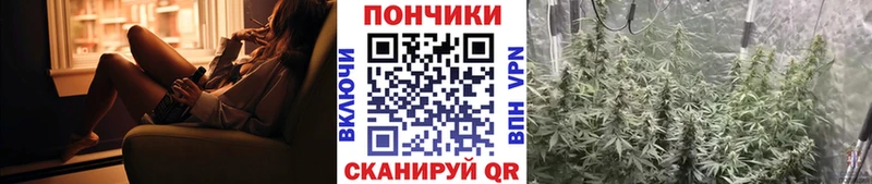 Бошки Шишки планчик  наркота  Вытегра 